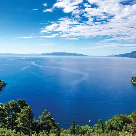 Amazing In With Wifi Apartment *